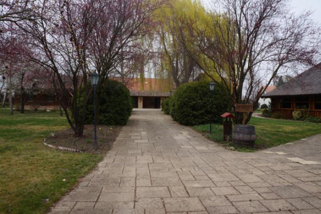 Szőlőszem Farm - Lake Tisza