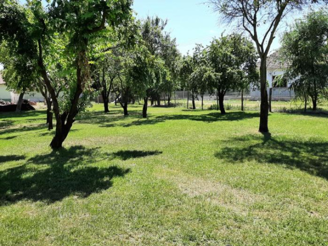 Tisza Love - Lake Tisza