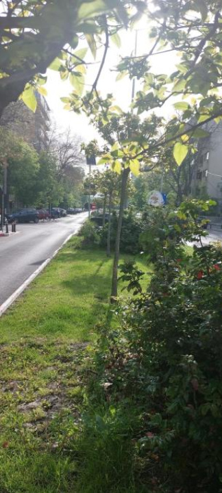 Casa Flory - Bucharest