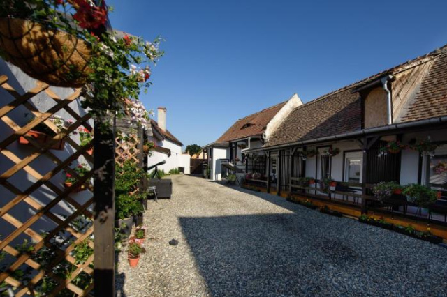Pensiunea Alina "Adults Only" - Sibiu