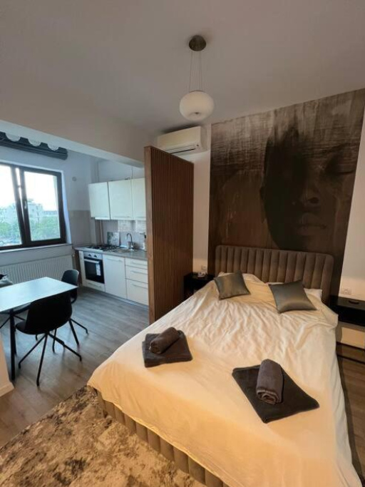 Lovely Apartments in Iasi City Center - 雅西