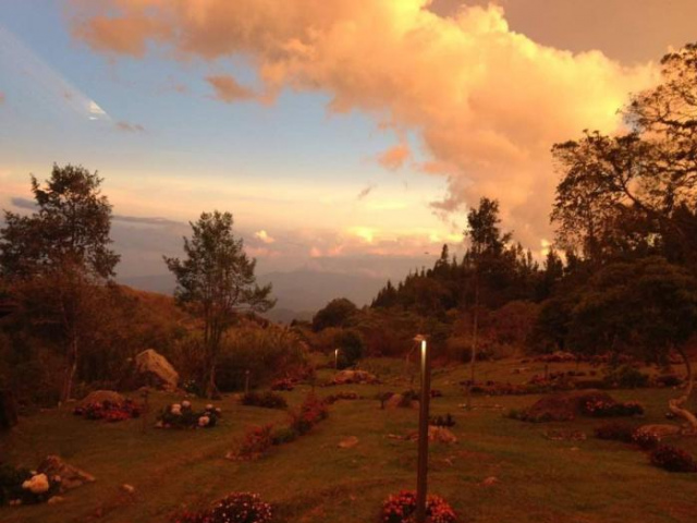 Spring Garden - Sabah