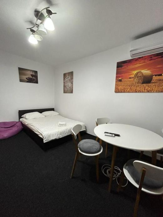Gheorghe Lazar- 1 Room Apartment - Timisoara