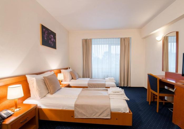 Hotel Excelsior - Timisoara