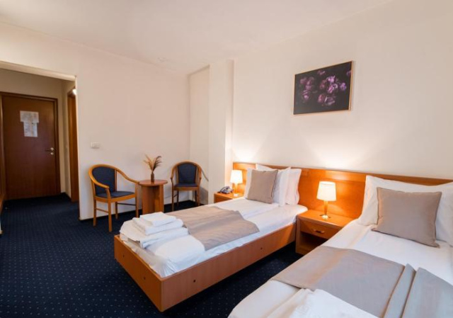 Hotel Excelsior - Timisoara