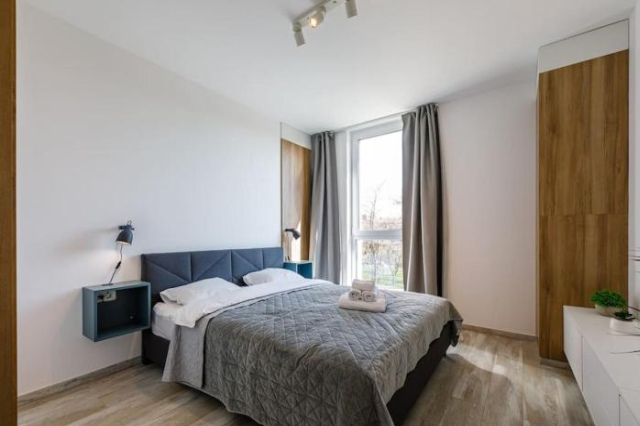 Luxury Apt. Near River & Parking - 蒂米什瓦拉