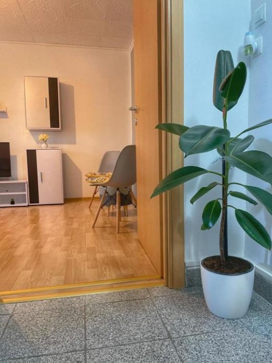 Gray Apartment for couples - Timisoara