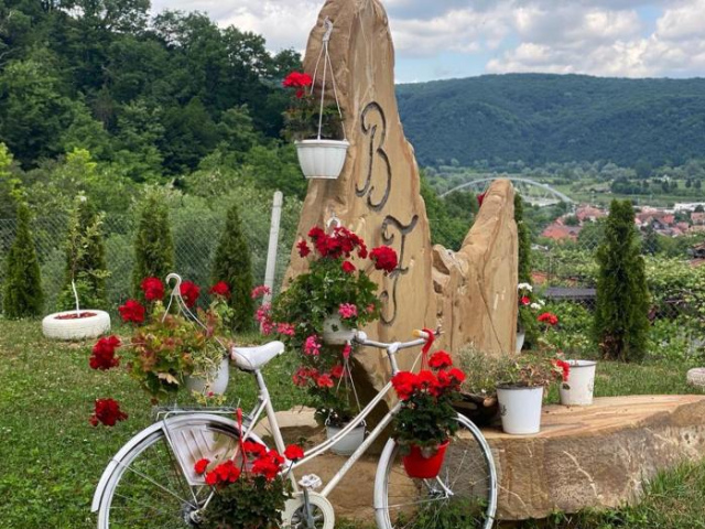 Chalets du BF - Sighisoara