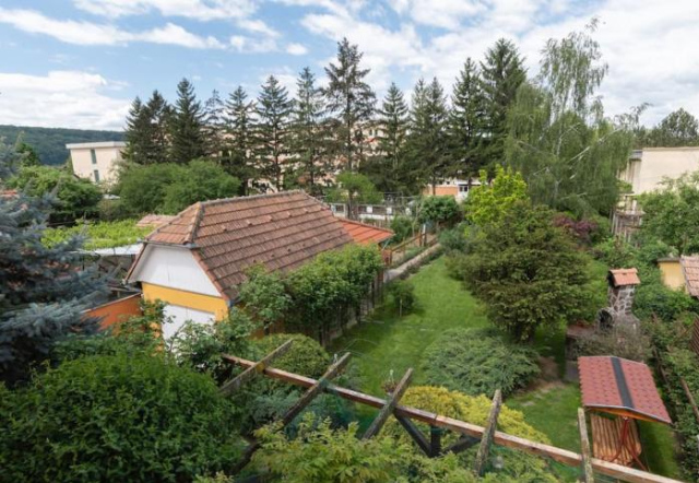 Charming two bedrooms apartment - Sighisoara