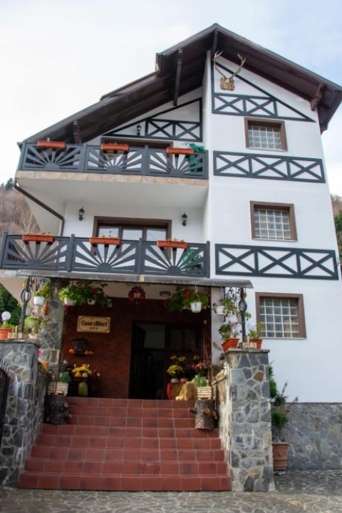 Casa Albert Sinaia - Sinaia