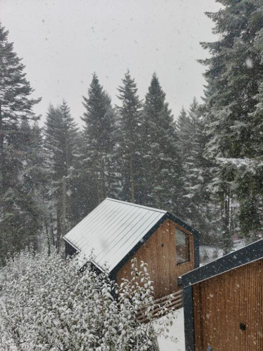 Norway Cabins - Sinaia