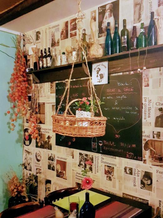 特拉菲利克斯酒館旅館 - 錫納亞