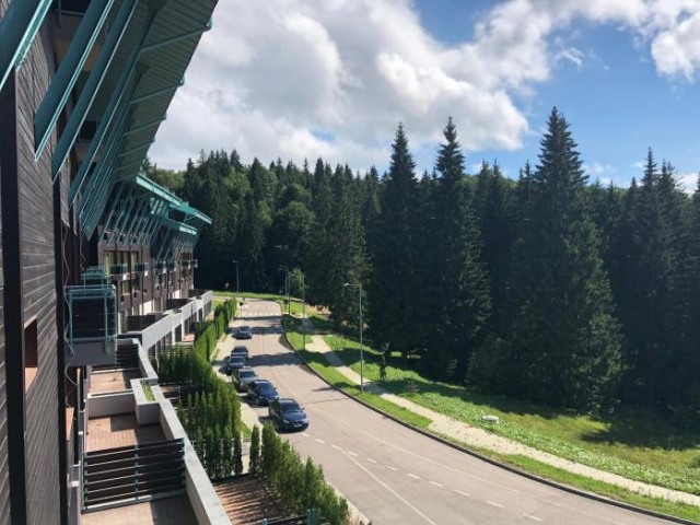 Pine Woods Apartment A28 in Silver Mountain - Poiana Brasov