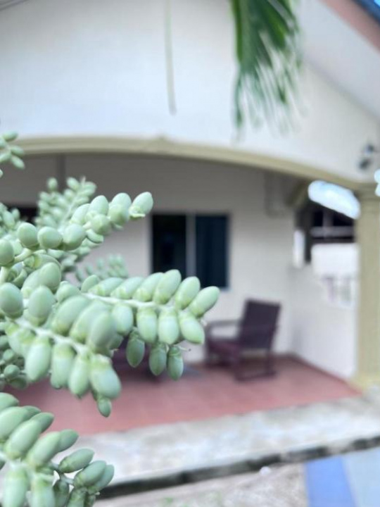 Dhania Motel Cenang Beach - 蘭卡威