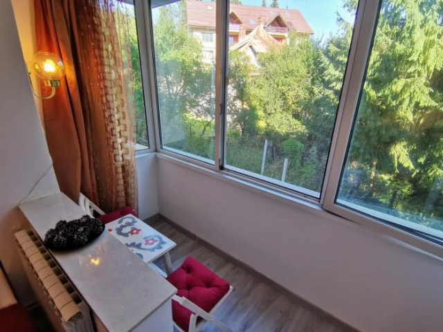 Cosy 2 rooms apartment with a view near the forest - Predeal