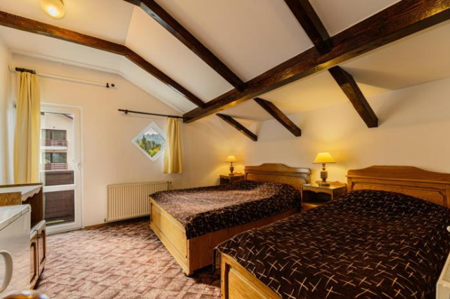 Bradul Pension Hotel - Predeal