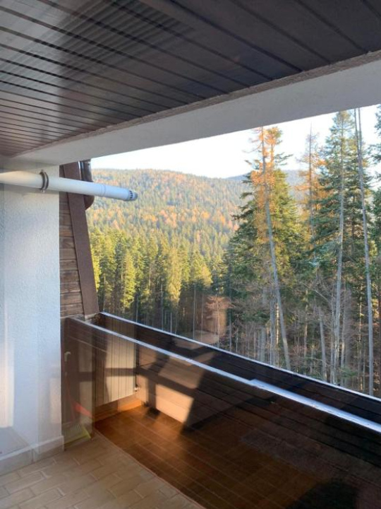 Cioplea View - Predeal