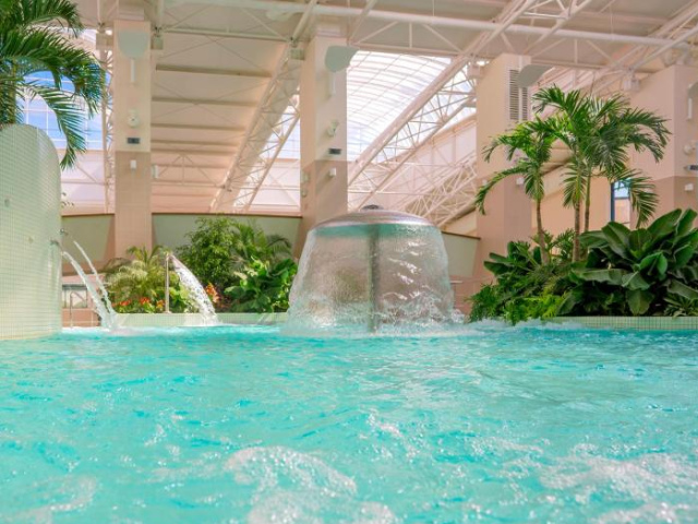 Lotus Therm Spa&Luxury Resort - Baile Felix