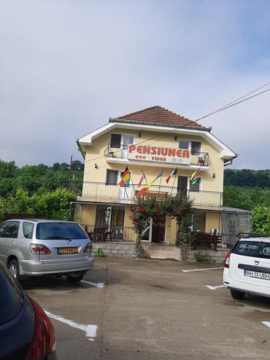 Pensiunea Vidra - Baile Felix