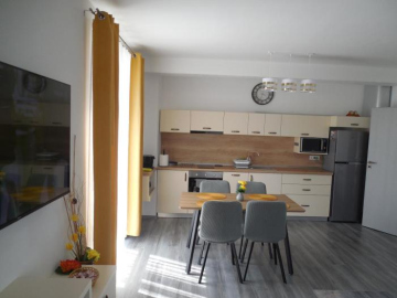 Apartament regim hotelier Băile Felix