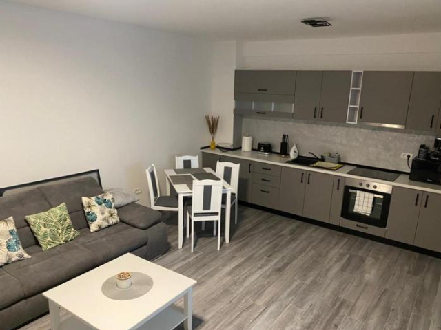 Apartament Ionut - 百樂費利克斯