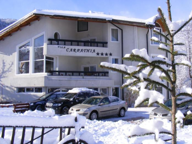 Vila Carpathia - 布朗