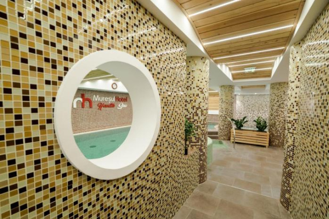 Hotel Muresul Health Spa - 索瓦塔