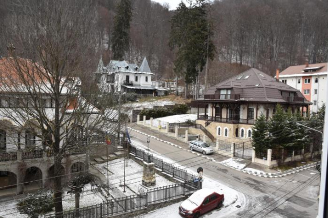 Apartment Victoria - Busteni