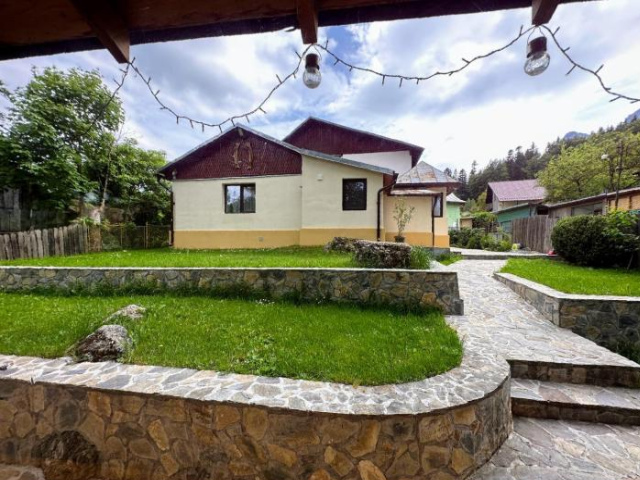 Bucegi View - 布希坦尼
