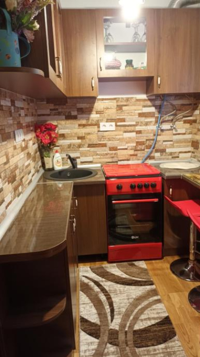 Apartament ELVIRA Băile Herculane - 伯伊萊海爾庫拉內