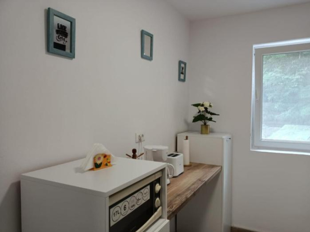 Family Apartment - Baile Herculane