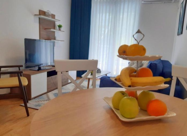 Apartman SANA & Free GARAŽA - Vrnjacka Banja