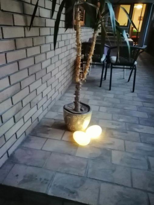 Citadela - Sombor