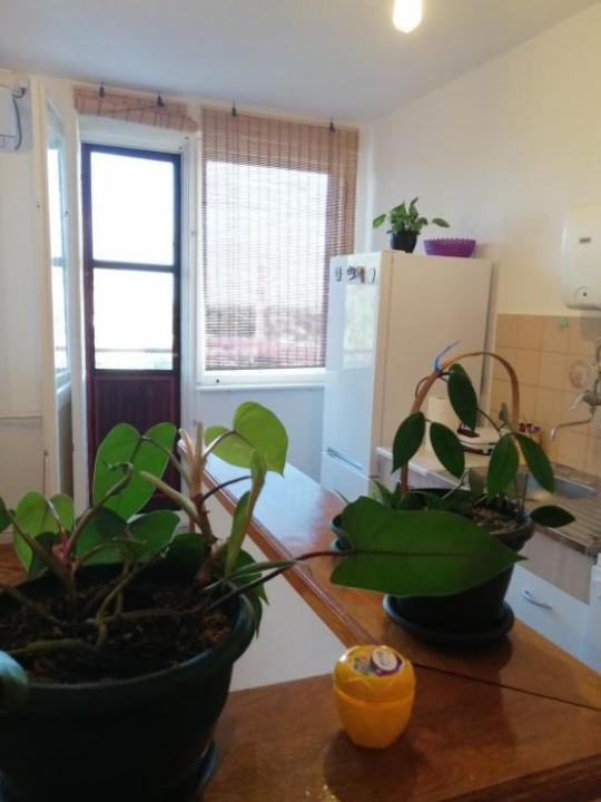 Apartman KIKA - Sombor