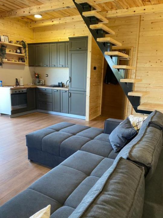 Luxury house Nena - vila za odmor - Sremski Karlovci
