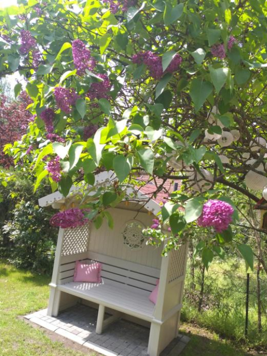 Apartman Panonsko more - Palic