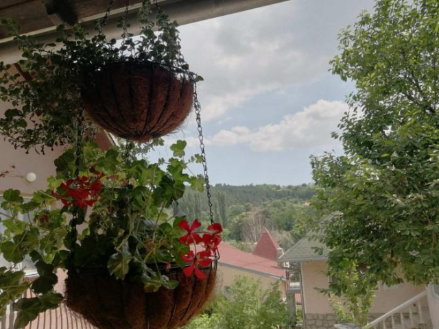 Apartmani Popovic - Vrdnik