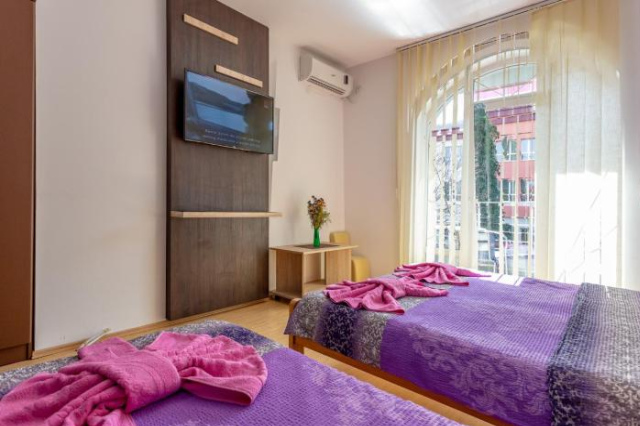 Guesthouse Sunny - Soko Banja