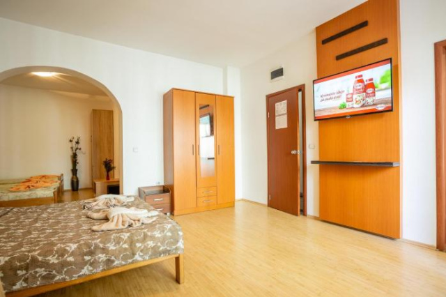 Guesthouse Sunny - Soko Banja