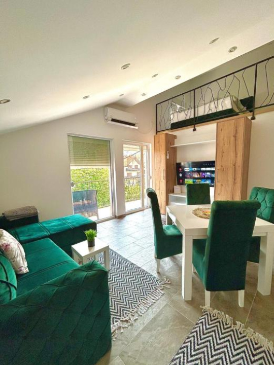 Apartman Viny - 索科礦泉村