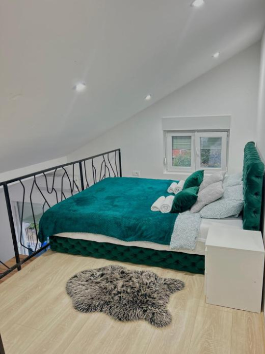 Apartman Viny - 索科礦泉村