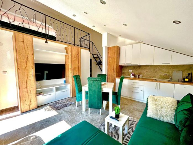 Apartman Viny - 索科礦泉村