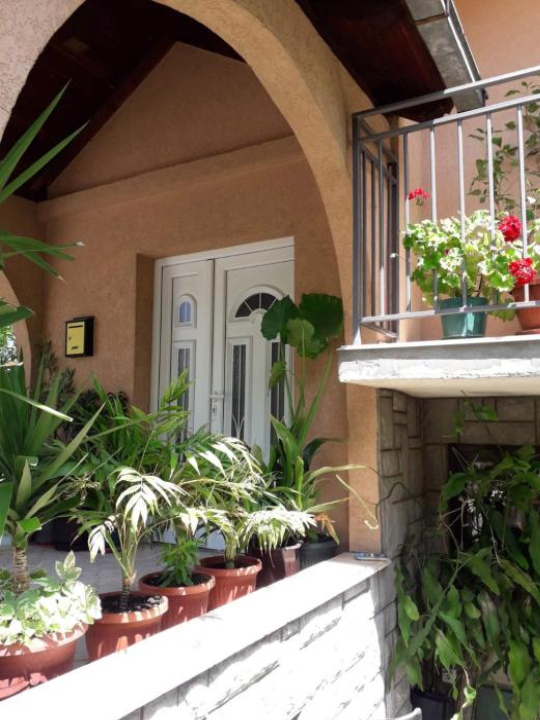 Sokobanja apartman Aviva - 索科礦泉村