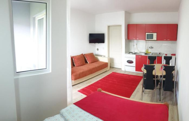 Apartman 4 - Studio Janja - Soko Banja