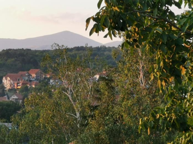 CENTRAL PARK SOKOBANJA - 索科礦泉村