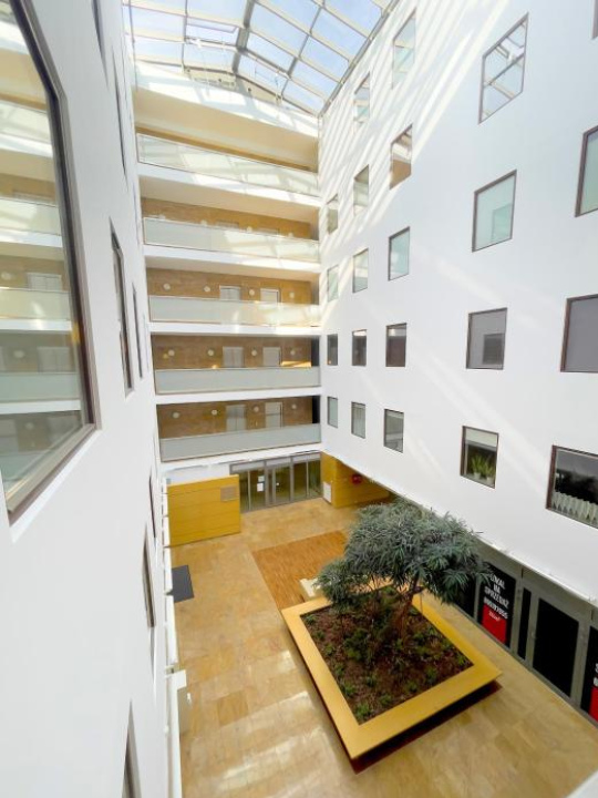 Przestronny apartament w centrum Poznania - Stare miasto - 波茲南