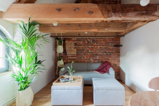 Apartamenty Monka - Torun