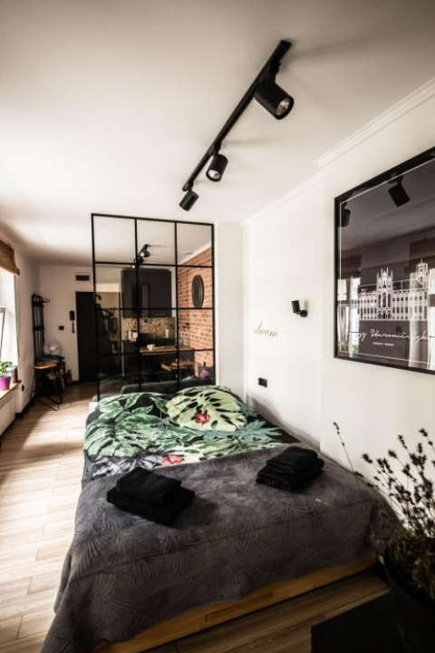 Apartament Ducha N°9 - 托倫