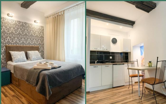 Old Town Studio Apartment - 托倫