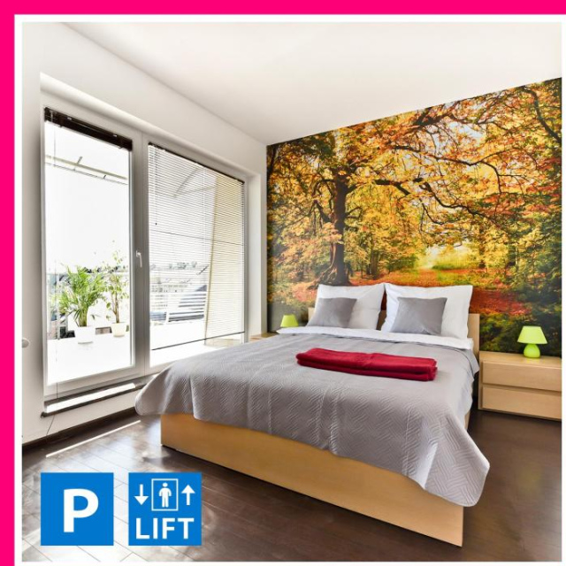 Apartment Center - 2 - Torun